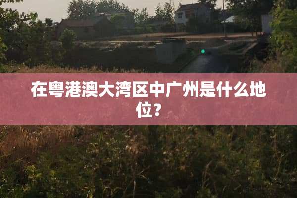 在粤港澳大湾区中广州是什么地位？