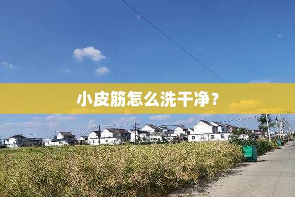小皮筋怎么洗干净？