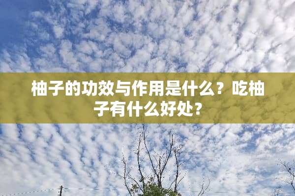 柚子的功效与作用是什么？吃柚子有什么好处？