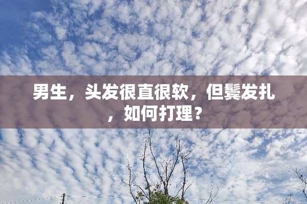 男生，头发很直很软，但鬓发扎，如何打理？