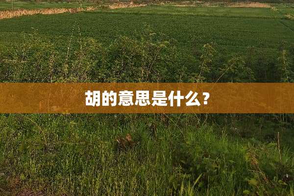 胡的意思是什么？