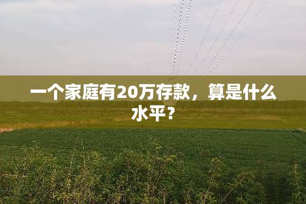 一个家庭有20万存款，算是什么水平？