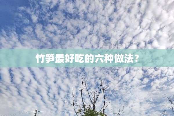 竹笋最好吃的六种做法？