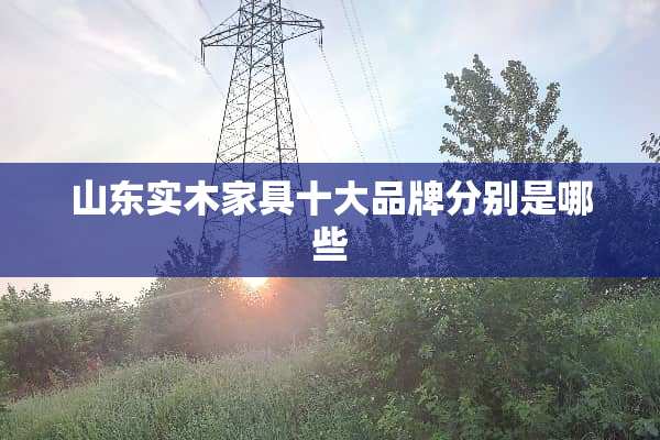 山东实木家具十大品牌分别是哪些