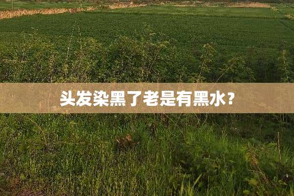 头发染黑了老是有黑水？
