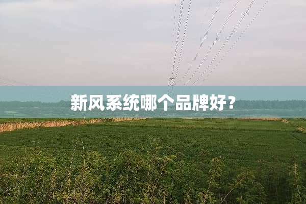 新风系统哪个品牌好？