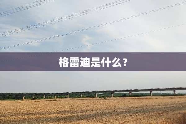 格雷迪是什么？
