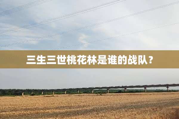 三生三世桃花林是谁的战队？