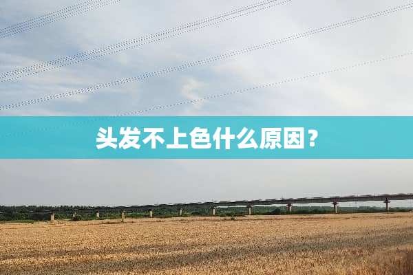 头发不上色什么原因？