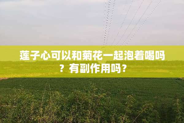 莲子心可以和菊花一起泡着喝吗？有副作用吗？