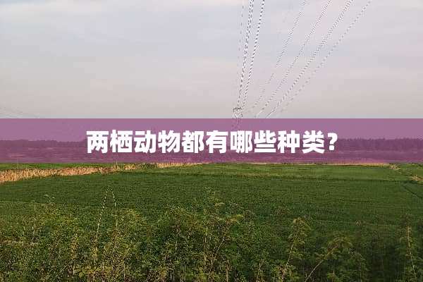 两栖动物都有哪些种类？