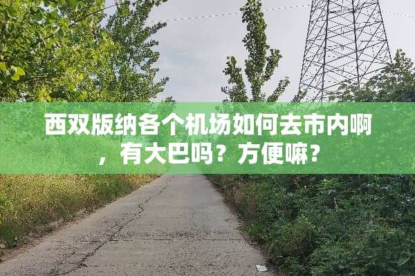 西双版纳各个机场如何去市内啊，有大巴吗？方便嘛？