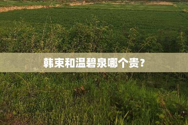 韩束和温碧泉哪个贵？