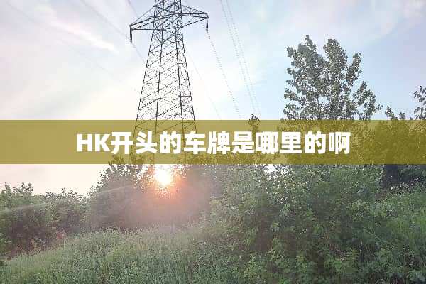 HK开头的车牌是哪里的啊