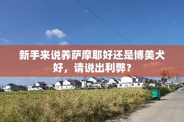 新手来说养萨摩耶好还是博美犬好，请说出利弊？