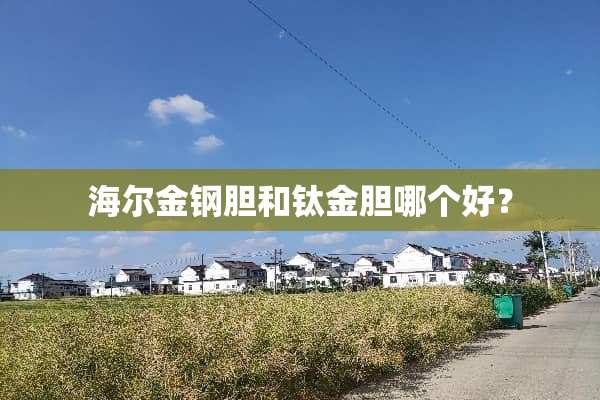 海尔金钢胆和钛金胆哪个好？