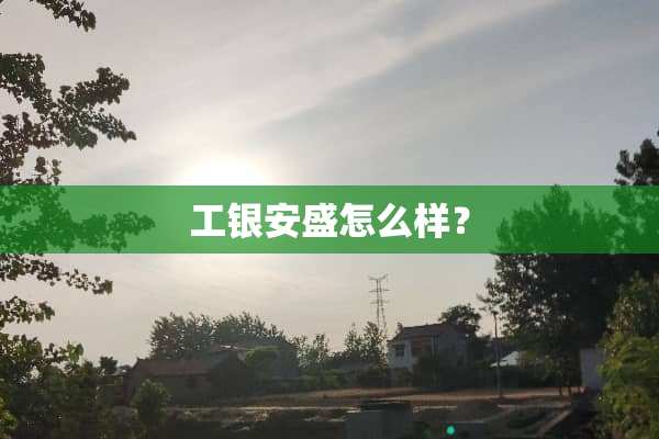 工银安盛怎么样？
