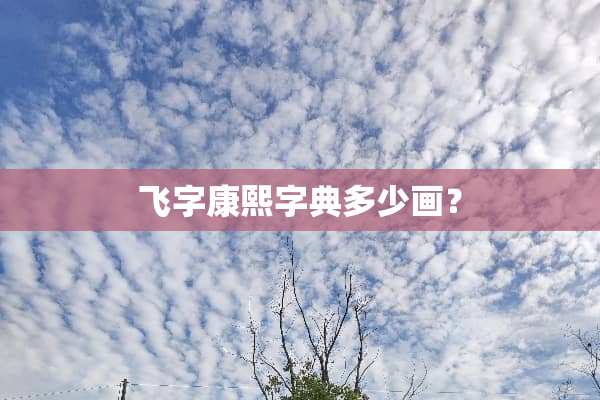 飞字康熙字典多少画？