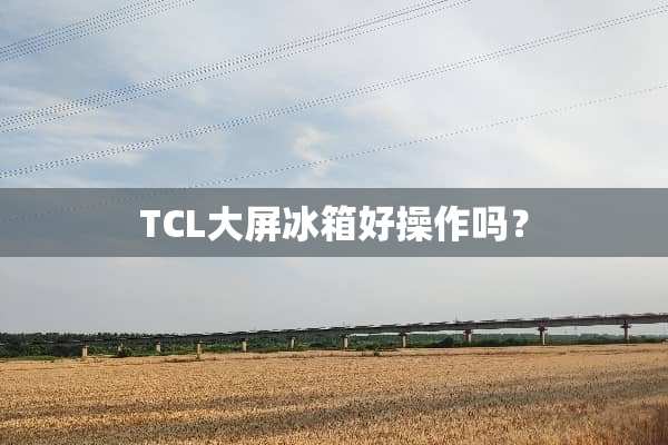 TCL大屏冰箱好操作吗？