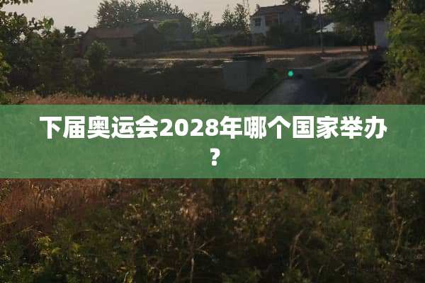 下届奥运会2028年哪个国家举办？