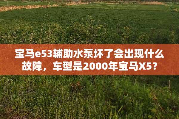 宝马e53辅助水泵坏了会出现什么故障，车型是2000年宝马X5？