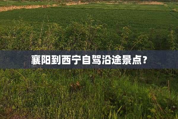 襄阳到西宁自驾沿途景点？