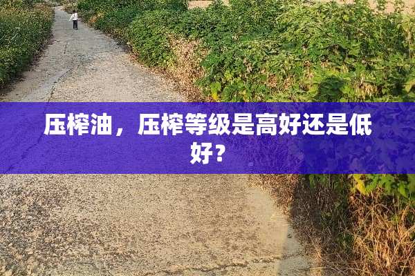 压榨油，压榨等级是高好还是低好？