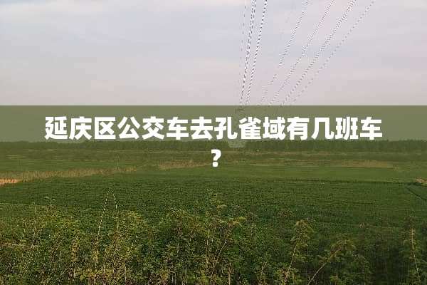 延庆区公交车去孔雀域有几班车？