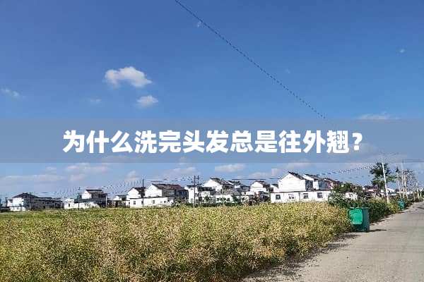 为什么洗完头发总是往外翘？