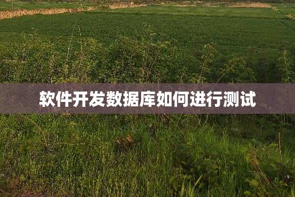 软件开发数据库如何进行测试