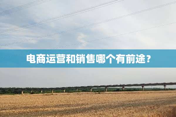 电商运营和销售哪个有前途？