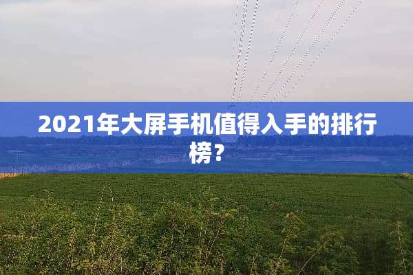 2021年大屏手机值得入手的排行榜？
