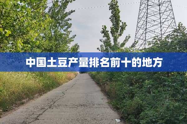 中国土豆产量排名前十的地方