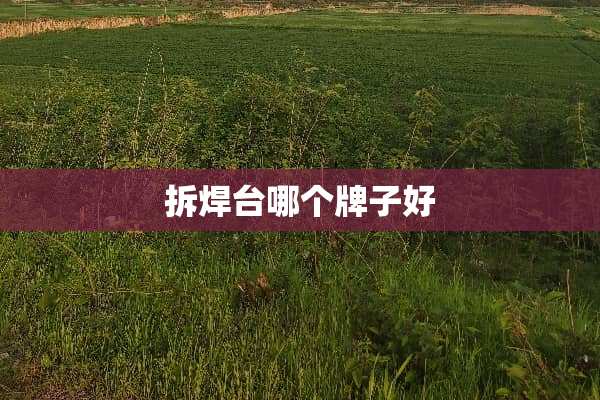 拆焊台哪个牌子好