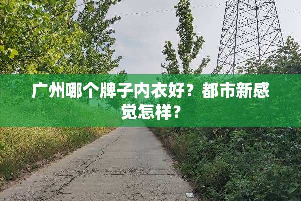 广州哪个牌子**好？都市新感觉怎样？