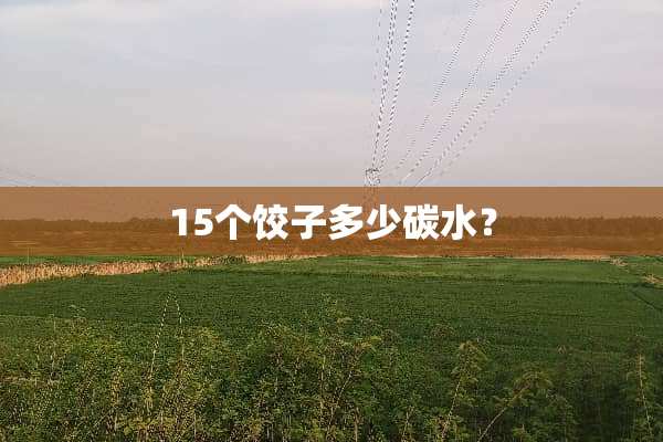 15个饺子多少碳水？
