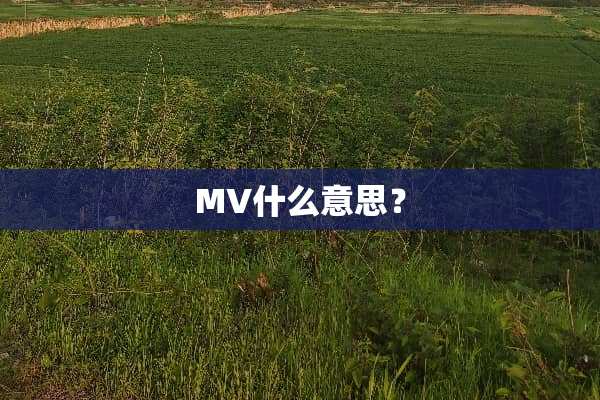 MV什么意思？