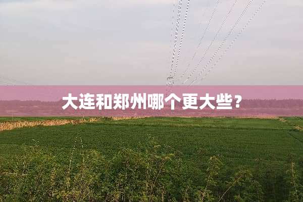 大连和郑州哪个更大些？