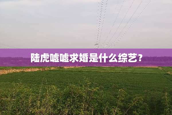 陆虎嘘嘘求婚是什么综艺？