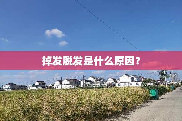 掉发脱发是什么原因？