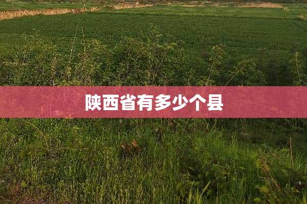 陕西省有多少个县