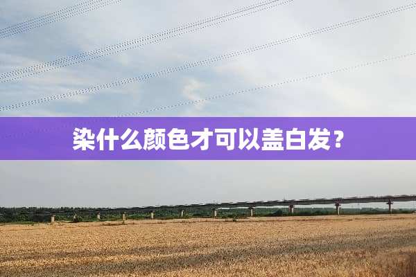 染什么颜色才可以盖白发？
