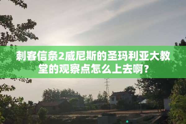 刺客信条2威尼斯的圣玛利亚大教堂的观察点怎么上去啊？