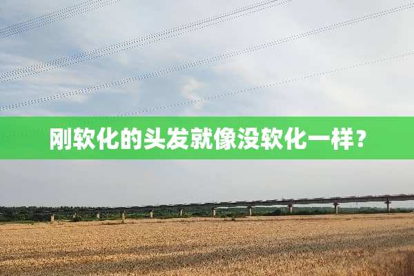 刚软化的头发就像没软化一样？