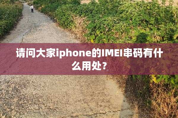 请问大家iphone的IMEI串码有什么用处？