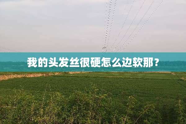 我的头发丝很硬怎么边软那？
