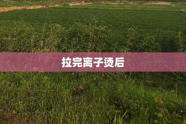 拉完离子烫后