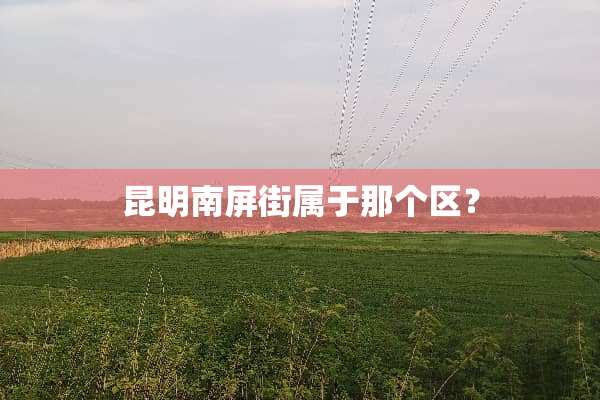 昆明南屏街属于那个区？