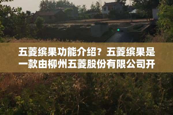 五菱缤果功能介绍？五菱缤果是一款由柳州五菱股份有限公司开发的面包超人系列电动车