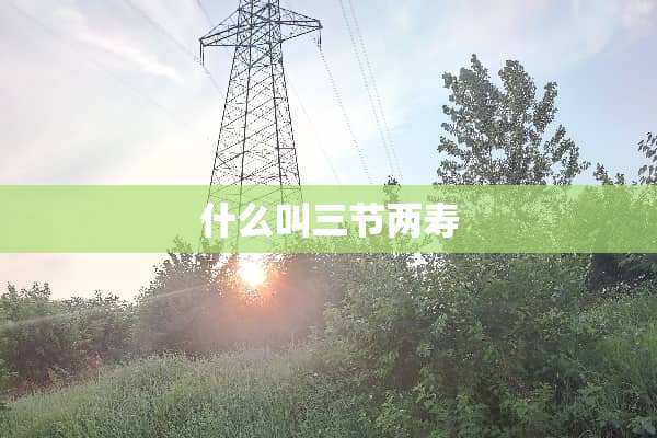 什么叫三节两寿